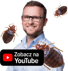 dezynsekcja pluskiew katowice
