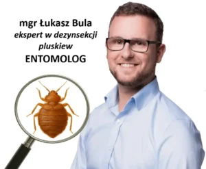 Profesjonalna dezynsekcja pluskiew domowych.